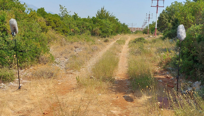 U Konavlima završeno snimanje filma <em>Aer</em> Tonča Bakotinapovezana slika