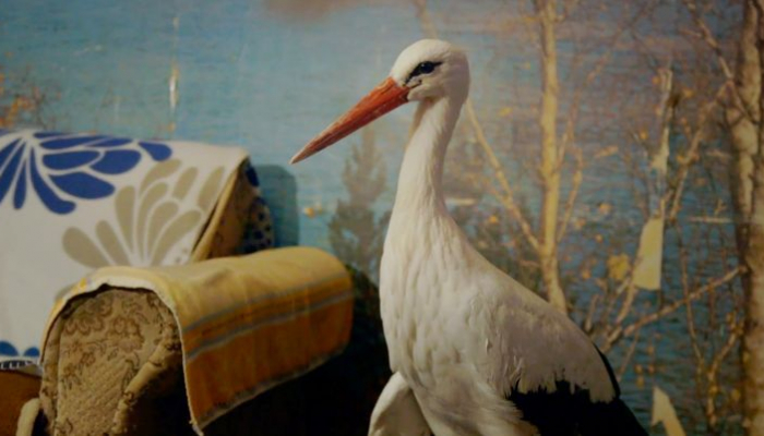 Film&nbsp;<em>Starac i roda, priča o Malenoj i Klepetanu</em> kreće u kinodistribuciju&nbsp;povezana slika