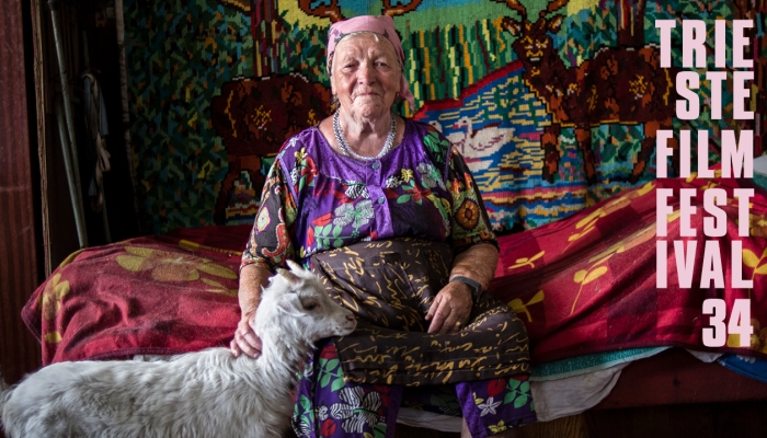 Mnoštvo hrvatskih filmova, projekata i filmaša na 34. Filmskom festivalu u Trstupovezana slika