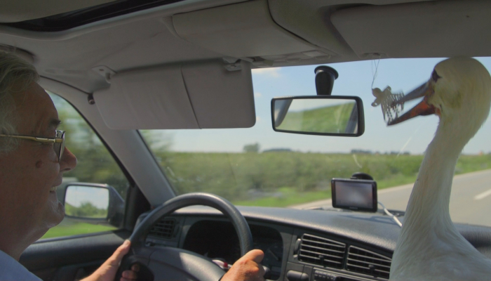 <em>Starac i roda, priča o Malenoj i Klepetanu</em> na 23. Docavivu&nbsp;povezana slika