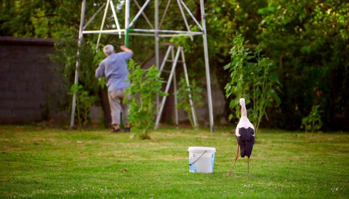 Film&nbsp;<em>Starac i roda, priča o Malenoj i Klepetanu</em> kreće u kinodistribuciju&nbsp;povezana slika