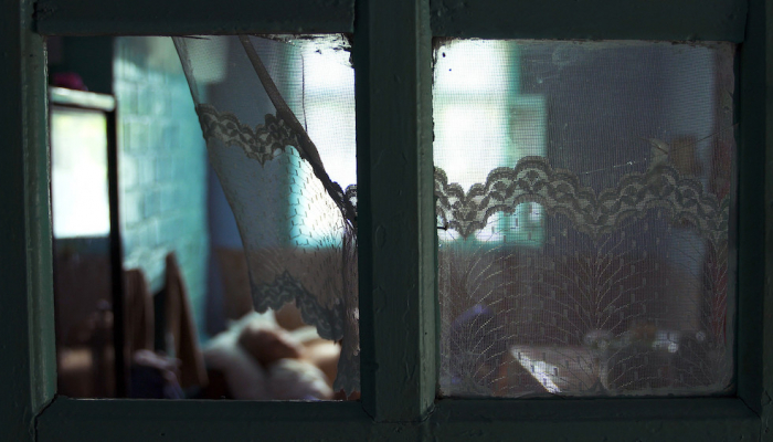 Veliki pečat filmovima <em>Nizvodno prema Kinshasi</em> i <em>Moj ujak Tudor</em>; nagrada publike domaćem naslovu <em>Ljubav oko svijeta</em>povezana slika