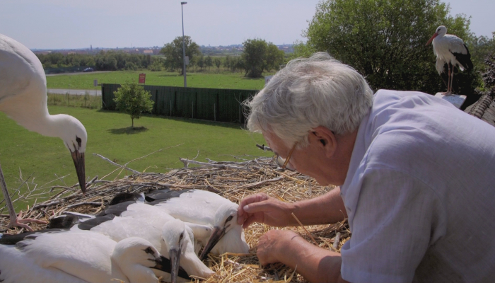 <em>Storkman</em> at 23rd Docaviv&nbsp;related image